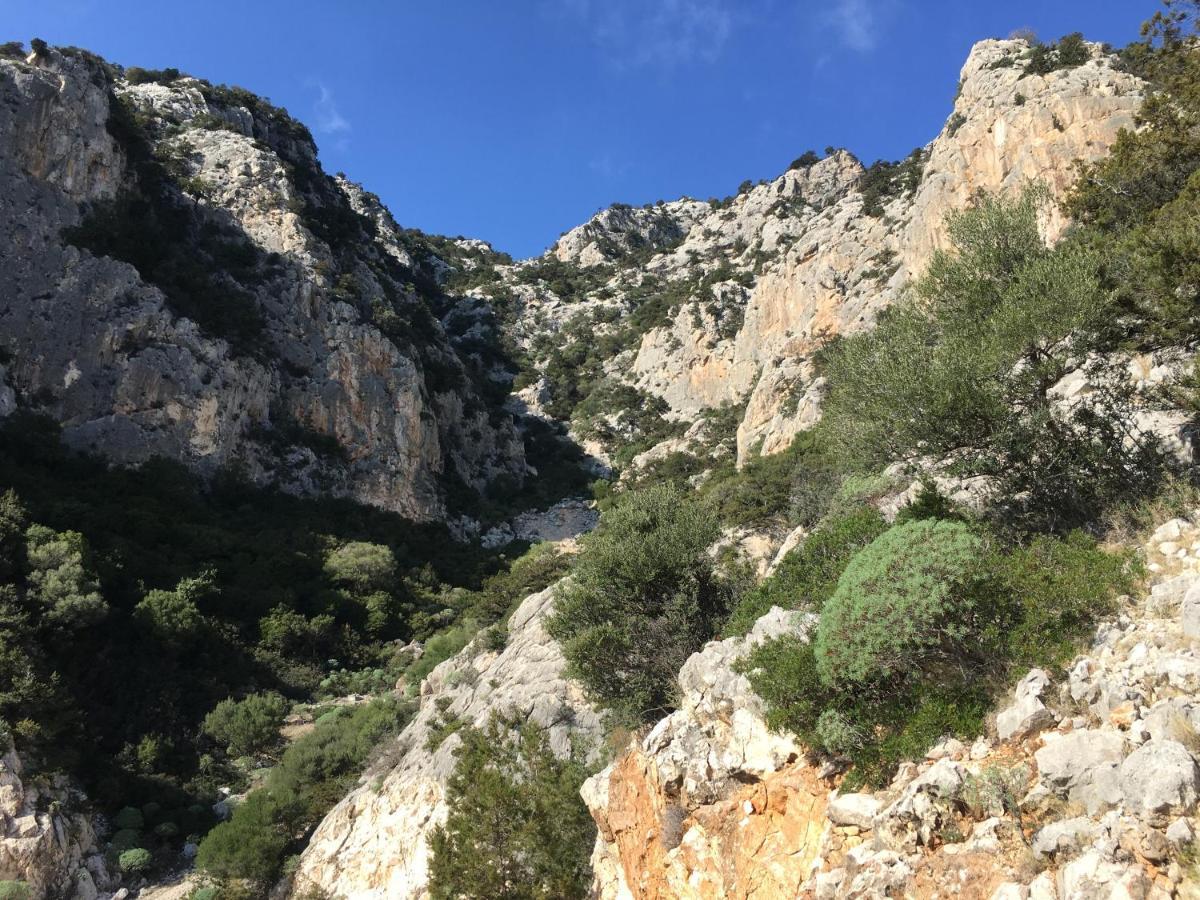 Cav Mameli Dorgali Exterior foto